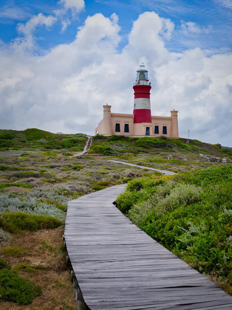 4 Day Garden Route Adventure